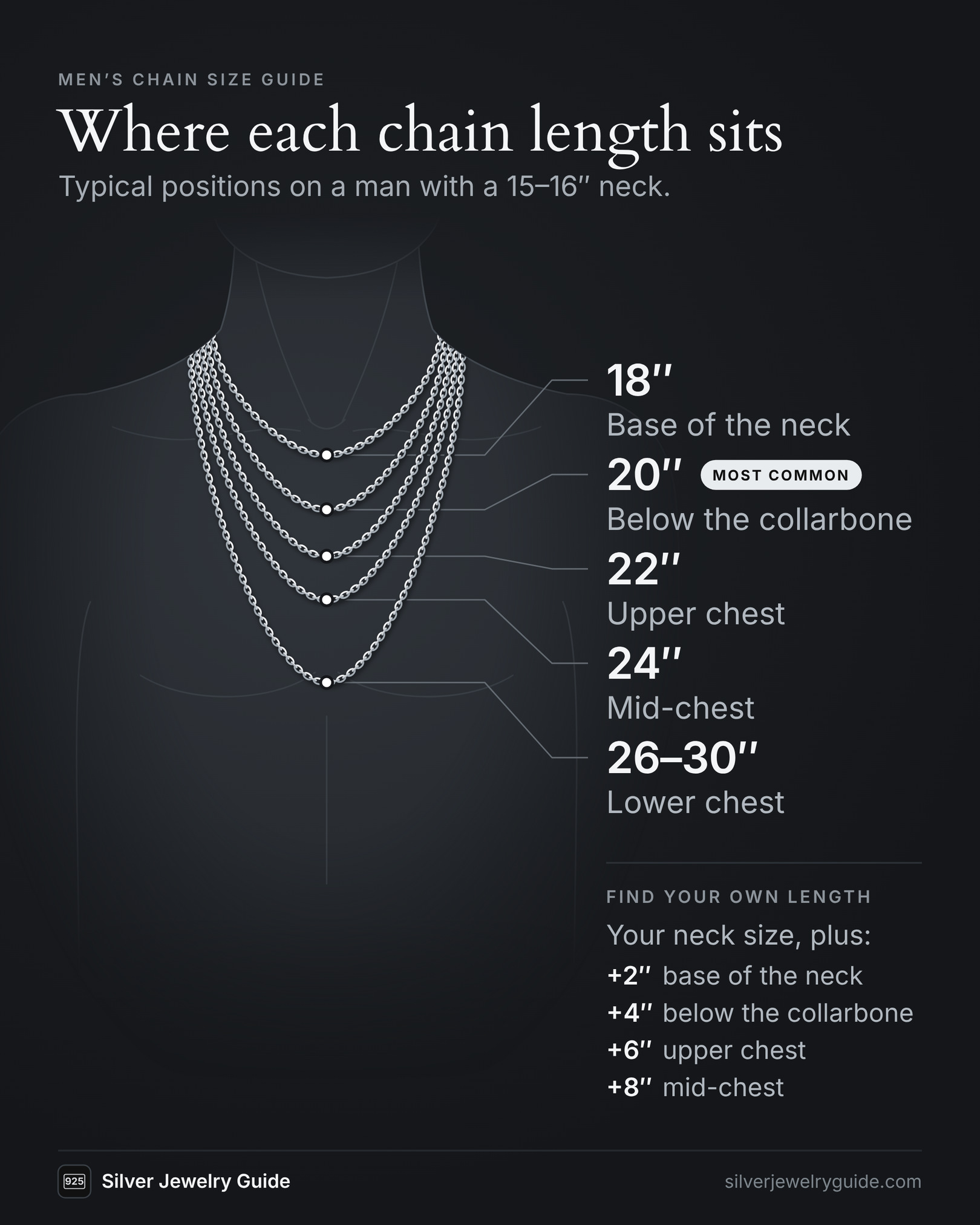 Chart of a man's chest showing where each chain length sits on a 15 to 16 inch neck: 18 inches at the base of the neck, 20 inches just below the collarbone, 22 inches on the upper chest, 24 inches at mid-chest, and 26 to 30 inches on the lower chest.